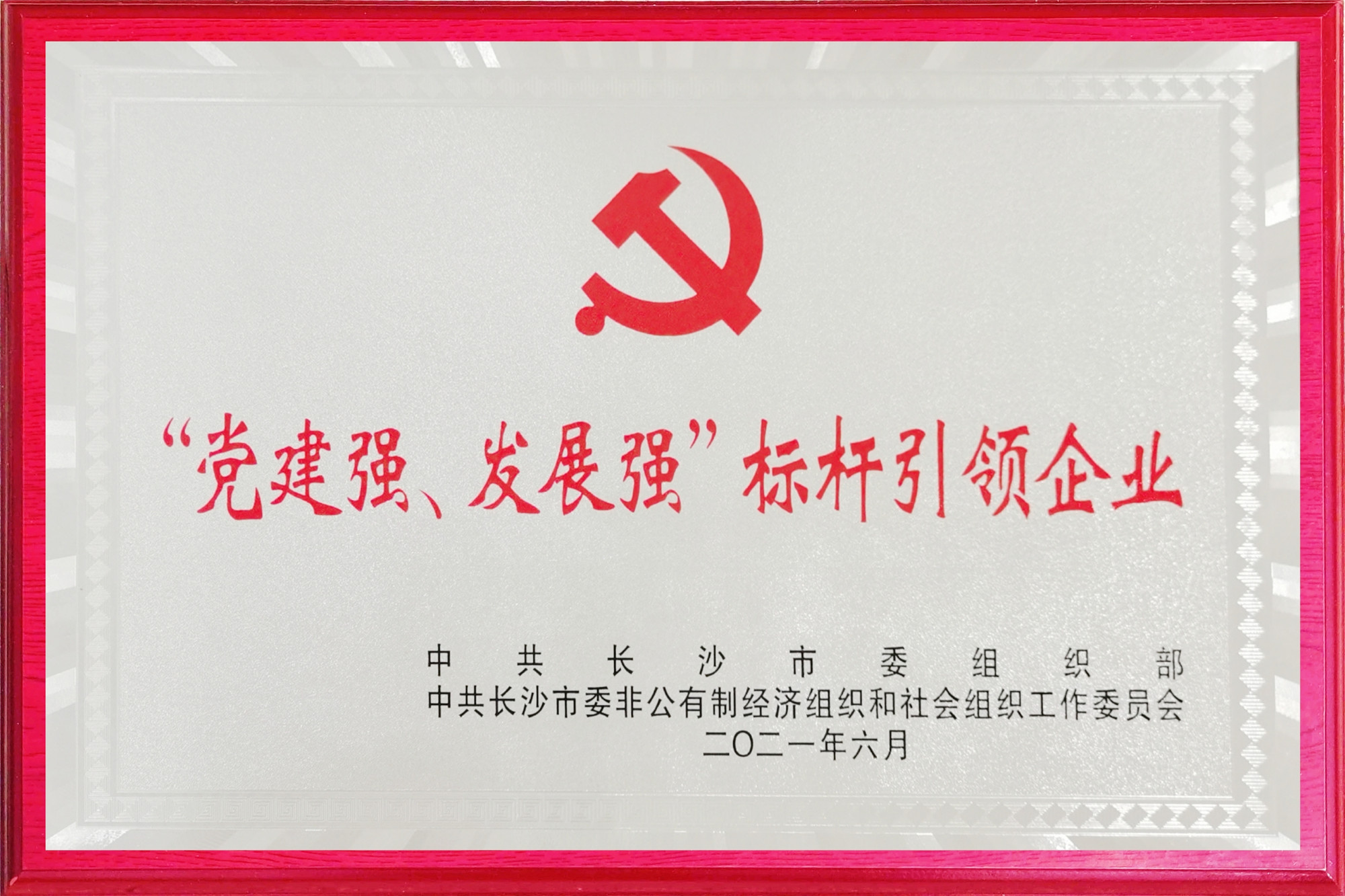 冰球突破880爆分视频荣获长沙市两新领域“党建强、发展强”标杆引领企业