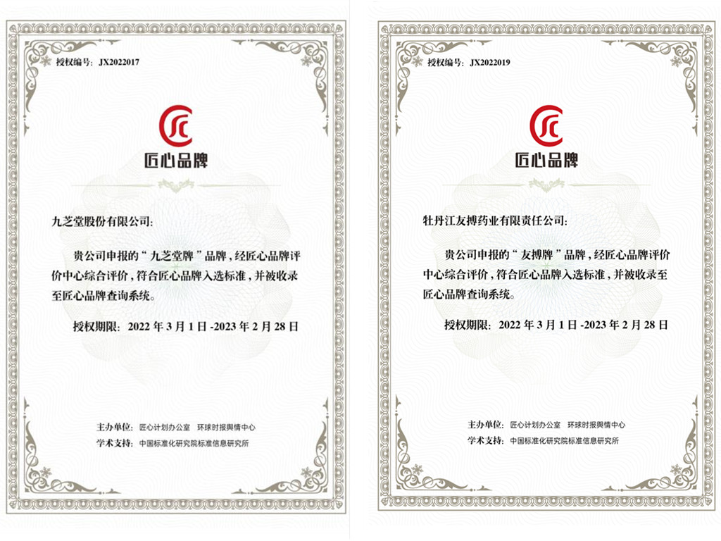 “冰球突破880爆分视频牌”、“友搏牌”入选2021匠心品牌评价榜单